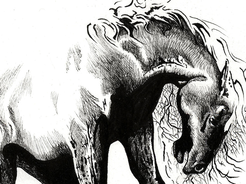 Ink Drawings Of Peaceful Animals