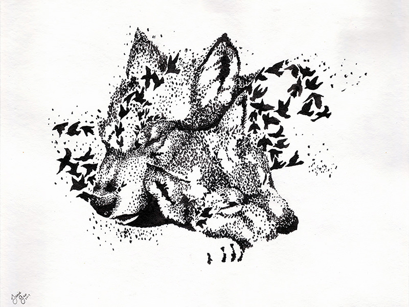 Ink Drawings Of Wildlife Animals
